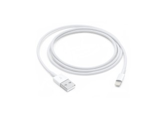Apple Cabo USB Carregador Lightning para iPhone 